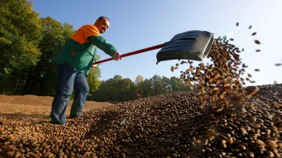 Foto: Vlado Kos/Cropix