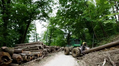 Lopovi su ordinirali po &scaron;umi skoro mjesec dana/Foto: Ranko &Scaron;uvar/CROPIX (ilustracija)