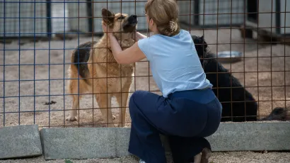 Vlasnik pasa platio je kaznu zbog držanja životinja bez nadzora/Foto: Luka Gerlanc/CROPIX (ilustracija)