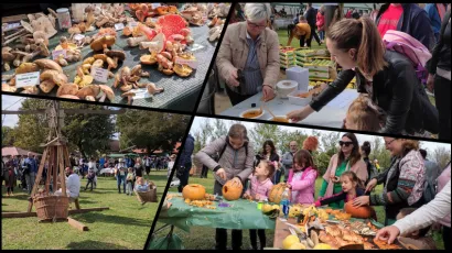 Jesen na Bilogori svake je godine sve bolja/ Foto: Deni Marčinković
