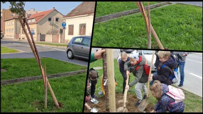 Foto: Deni Marčinković/Grad Bjelovar