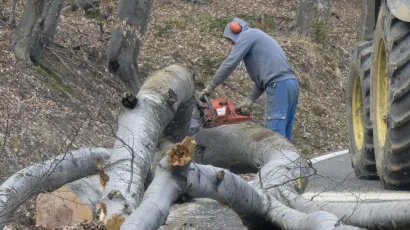 Foto: Darko Tomaš/CROPIX (ilustracija)