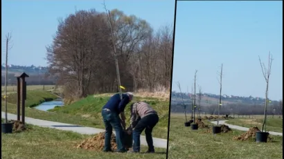 Foto: Predrag Uskoković/Grad Daruvar