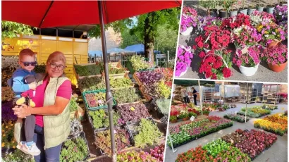 Foto: Gradska tržnica Daruvar