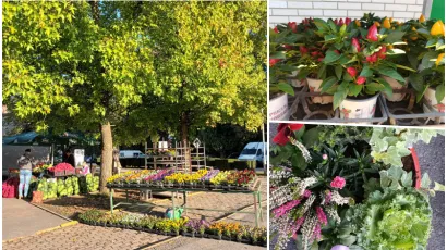 Foto: Gradska tržnica Daruvar