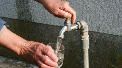 Foto: Mirko Kovačević/Arhiva Cropix