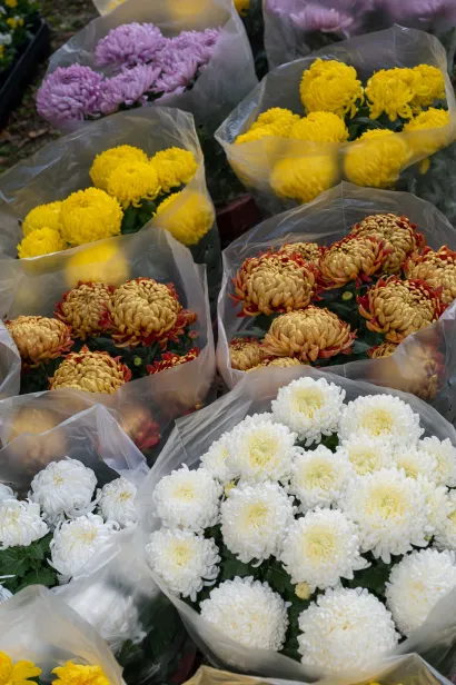 Foto: Predrag Uskoković/Grad Daruvar