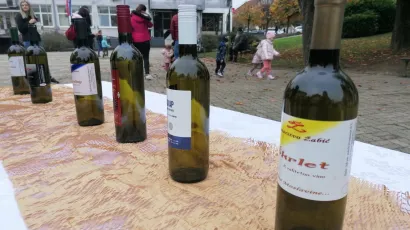 Nagrađivana vina garešničke vinarije Žabić/ Foto: Janja Čaisa