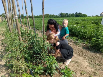 Mališani pomažu mami u povrtnjaku/Foto: Slavica Trgovac Martan