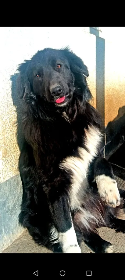 Nika je tijekom zlostavljanja ostala bez jednog zgloba/Foto: Privatni album 