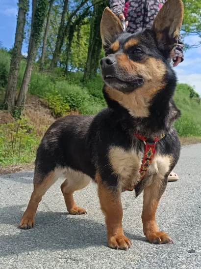 Kimmy sada ima novi topli dom/Foto: Privatni album