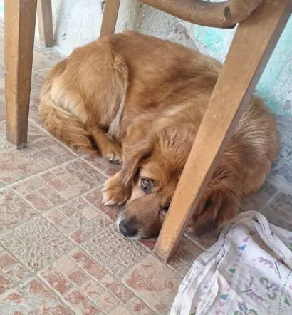 ''Staričica'' Biba konačno se skrasila/Foto: Privatni album