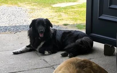 Foto: Privatni album