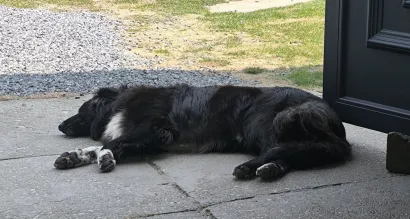 Niki sada uživa, kako i zaslužuje/Foto: Privatni album