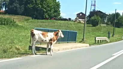 Foto: Čitatelj