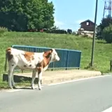 Foto: Čitatelj