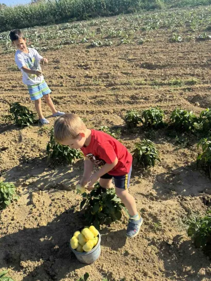 U proizvodnji sudjeluju svi članovi obitelji/Foto: Gradska tržnica Daruvar