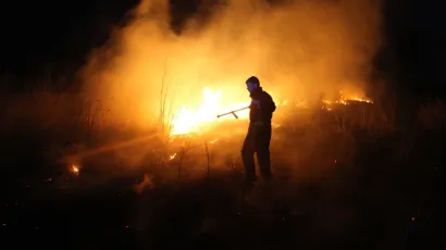 Vatra se sa staričinog zemljišta proširila na susjedovo strnište/Foto: Vladimir Ivanov/CROPIX (ilustracija)