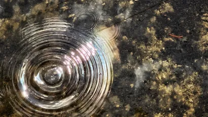 Foto: Valnea Vretenar Maršić