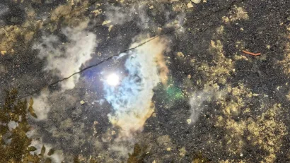 Foto: Valnea Vretenar Maršić