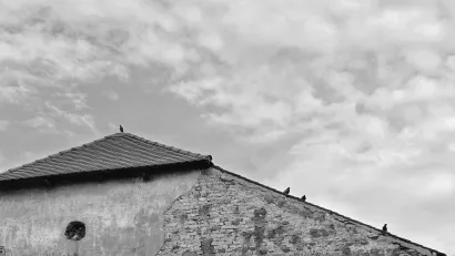 Foto: Valnea Vretenar Maršić