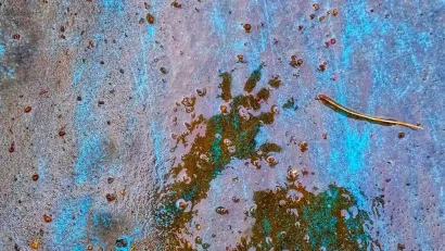 Foto: Valnea Vretenar Maršić