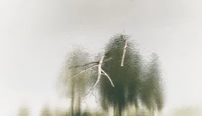 Grana ili čovjek?/Foto: Valnea Vretenar Maršić