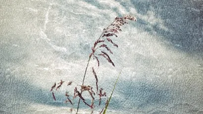 Foto: Valnea Vretenar Maršić