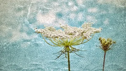 Fotografije koje su nalik na slike/Foto: Valnea Vretenar Maršić