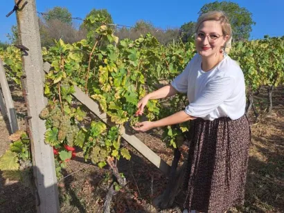 Radna akcija u vinogradu/Foto: Privatni album