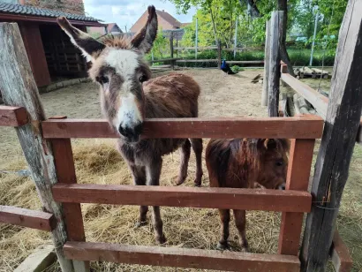 Brego i Lana/Foto: Privatni album