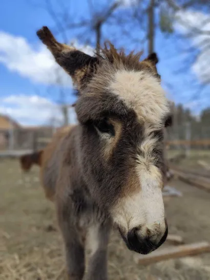 Foto: Privatni album