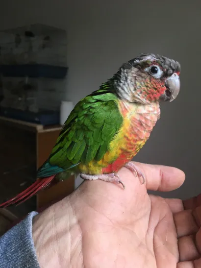 Foto: Privatni album