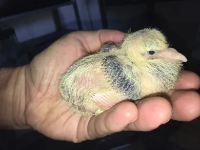 Foto: Privatni album