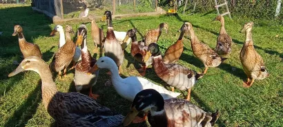 Foto: Privatni album