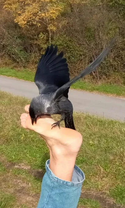 Foto: Privatni album