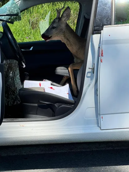 Nesvakidašnja prometna nesreća dogodila se u Končanici/Foto: Čitatelj