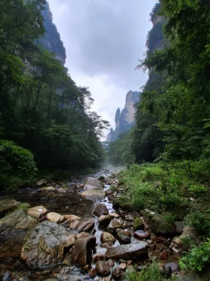 Ncionalni prk Zhangjiajie/Foto: Jana Prević Finderle
