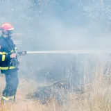 U požaru je izgorjela suha trava/ Foto: Danijela Peracic/CROPIX (Ilustracija)