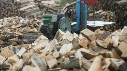 Bjelovarčanin i Gareščanin ostali bez ogrjevnog drveta kojeg su prevozili/Foto: Tom Dubravec/CROPIX ((Ilustracija)