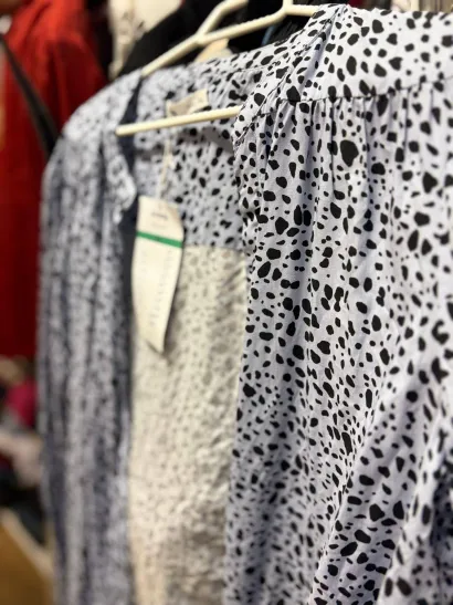 Foto: Udruga Impress