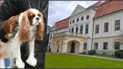 Foto: Josip Moler/CROPIX, MojPortal