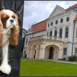 Foto: Josip Moler/CROPIX, MojPortal