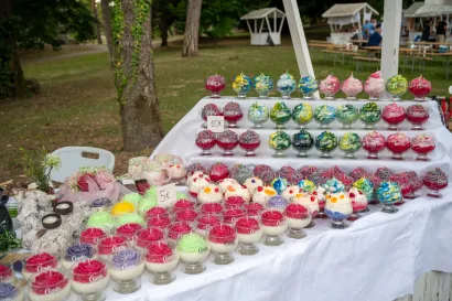 Foto: Predrag Uskoković/Grad Daruvar