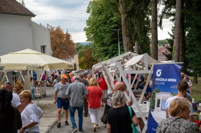 Foto: Predrag Uskoković/Grad Daruvar