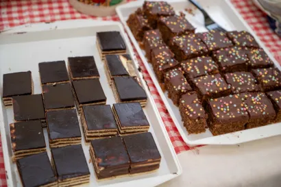 Foto: Predrag Uskoković/Grad Daruvar