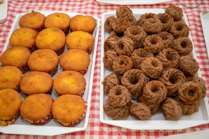 Foto: Predrag Uskoković/Grad Daruvar