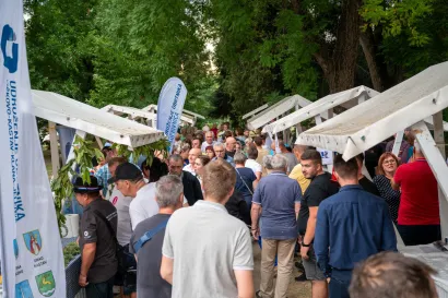 Foto: Predrag Uskoković/Grad Daruvar