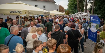 Foto: Predrag Uskoković/Grad Daruvar