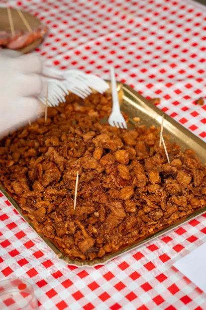 Ništa bez čvaraka/Foto: Predrag Uskoković/Grad Daruvar